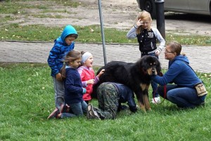 Piknik integracyjny "Rodziną być"